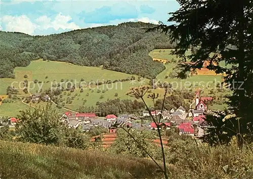 AK / Ansichtskarte Schuttertal Panorama Schuttertal