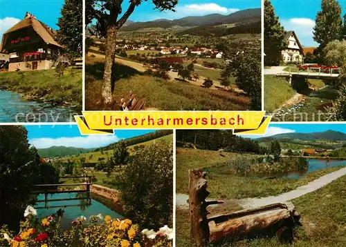 AK / Ansichtskarte Unterharmersbach Brunnen Teich Panorama Unterharmersbach