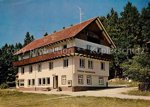 AK / Ansichtskarte Kniebis_Freudenstadt Pension Kniebishhe Kniebis_Freudenstadt