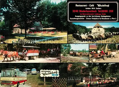 AK / Ansichtskarte Niederhaverbeck Restaurant Cafe Waldhof Niederhaverbeck