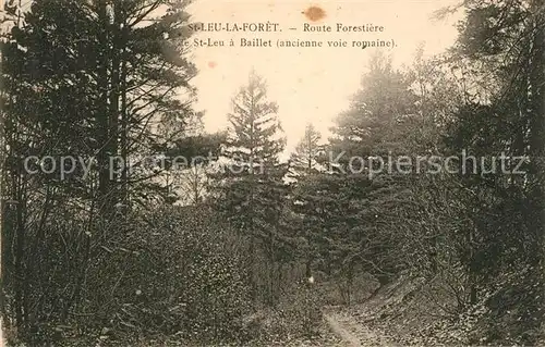 AK / Ansichtskarte Saint Leu la Foret Route Forestiere Saint Leu la Foret