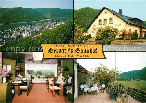 AK / Ansichtskarte Mesenich_Cochem Pension Weingut Sevaty s Sonnhof Landschaftspanorama Moseltal Weinberge Mesenich Cochem