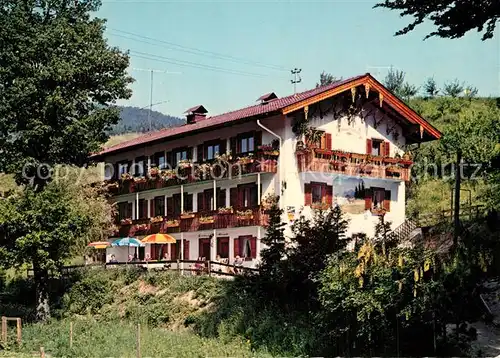 AK / Ansichtskarte Wolfertsau_Anger Gasthaus Cafe Waldfriede Wolfertsau Anger