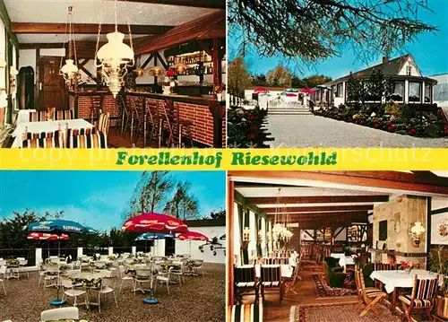 AK / Ansichtskarte Nordhastedt Hotel Restaurant Cafe Forellenhof Riesewohld Nordhastedt