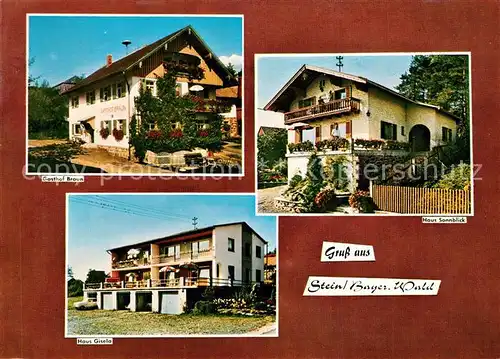AK / Ansichtskarte Stein_Cham Gasthof Pension Braun Haus Gisela Haus Sonnblick Stein_Cham