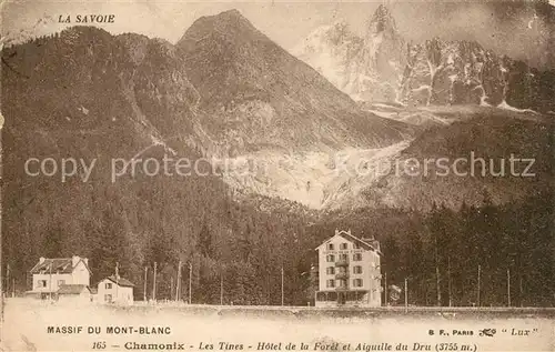 AK / Ansichtskarte Chamonix Les Tines Hotel de la Foret Aiguille du Dru Alpes Francaises Chamonix