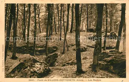 AK / Ansichtskarte Foret_de_Villers Cotterets Les Roches Foret_de