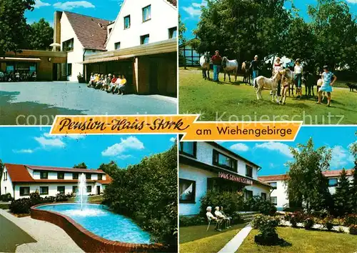 AK / Ansichtskarte Bad_Holzhausen_Luebbecke Pension Haus Stork am Wiehengebirge Bad_Holzhausen_Luebbecke
