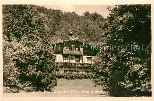 AK / Ansichtskarte Bad_Liebenstein Haus Feodora Bad_Liebenstein