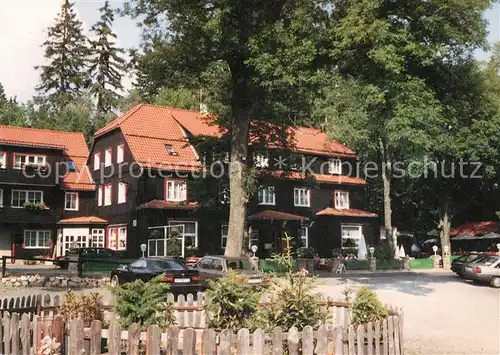 AK / Ansichtskarte Mandelholz_Harz Hotel Restaurant Cafe Gruene Tanne Mandelholz Harz
