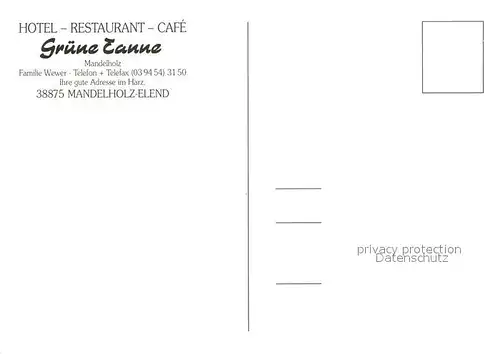 AK / Ansichtskarte Mandelholz_Harz Hotel Restaurant Cafe Gruene Tanne Mandelholz Harz