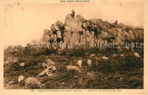 AK / Ansichtskarte Saint Leonard des Bois Rochers du Champ du Pas  Saint Leonard des Bois