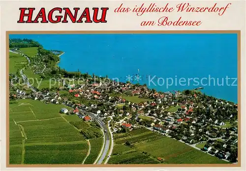 AK / Ansichtskarte Hagnau_Bodensee Fliegeraufnahme Hagnau Bodensee