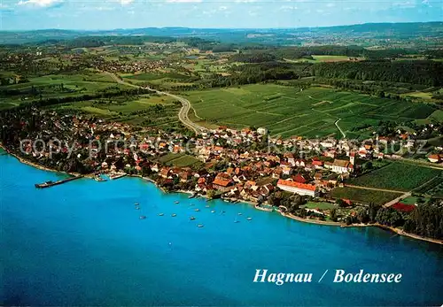 AK / Ansichtskarte Hagnau_Bodensee Fliegeraufnahme Weindorf Hagnau Bodensee