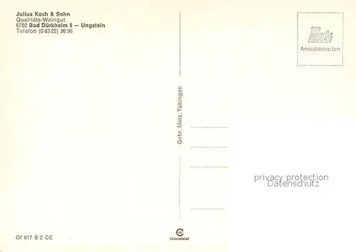 AK / Ansichtskarte Ungstein Weingut Koch und Sohn Weinkeller Probierstube Ungstein