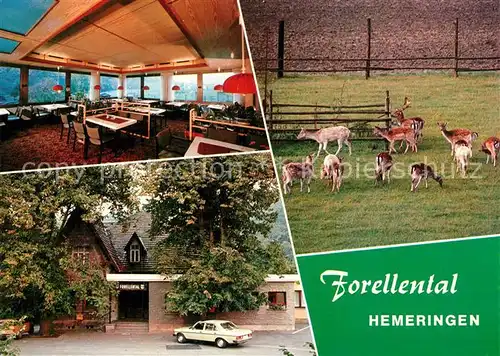 AK / Ansichtskarte Hemeringen Hotel Restaurant Forellental Gastraum Rehe Hemeringen