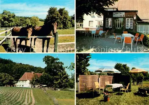 AK / Ansichtskarte Boekensberg Gasthaus Pension Dittmann Garten Terrasse Pferdekoppel 