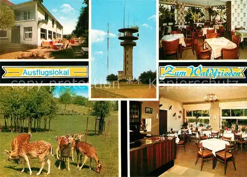 AK / Ansichtskarte Havixbeck Ausflugslokal Zum Waldfrieden Restaurant Wildgehege Sender Havixbeck