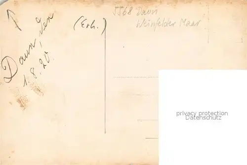 AK / Ansichtskarte Daun_Eifel Weinfelder Maar Daun_Eifel