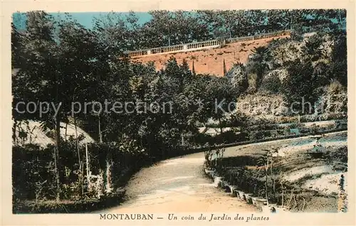 AK / Ansichtskarte Montauban_Tarn et Garonne Un coin du Jardin des plantes 