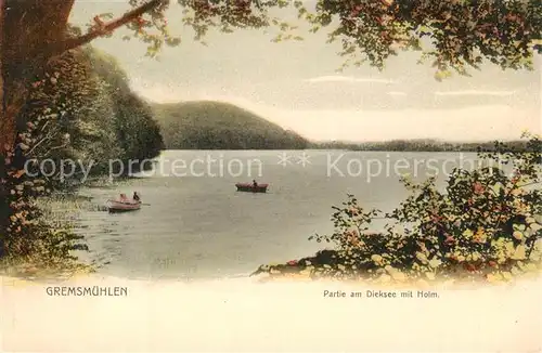 AK / Ansichtskarte Gremsmuehlen Dieksee Holm Gremsmuehlen
