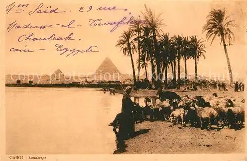 AK / Ansichtskarte Cairo_Egypt Landscape Cairo Egypt
