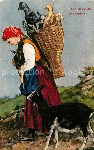 AK / Ansichtskarte Lago_di_Como Una caprala Lago_di_Como