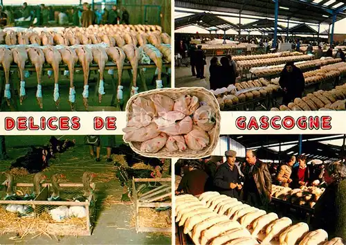 AK / Ansichtskarte Gers Marche aux oies grasses Gers