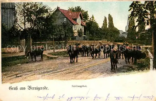 AK / Ansichtskarte Wernigerode_Harz Salzbergtal Wernigerode Harz