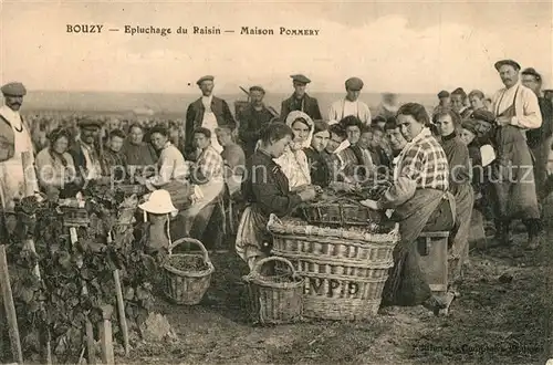 AK / Ansichtskarte Bouzy la Foret Epluchage du Raisin Maison Pommery Bouzy la Foret