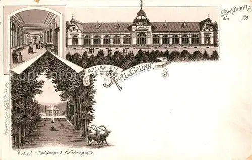 AK / Ansichtskarte Karlsbrunn_Tschechien_Bad Blick von der Wilhelmsquelle  Karlsbrunn_Tschechien_Bad