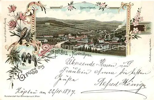 AK / Ansichtskarte Sobotin_Zoebtau Panorama  