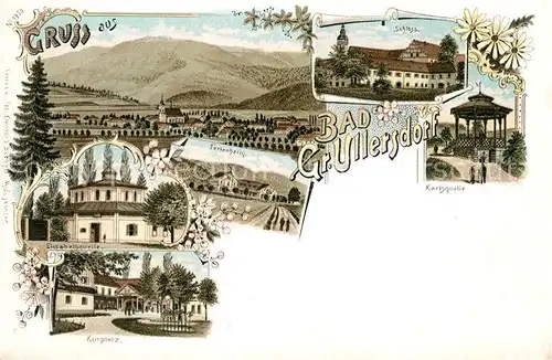 AK / Ansichtskarte Bad_Gross Ullersdorf Kurplatz Schloss Ferienheim  Bad_Gross Ullersdorf