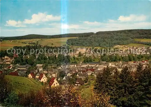 AK / Ansichtskarte Bad_Berleburg Panorama Bad_Berleburg