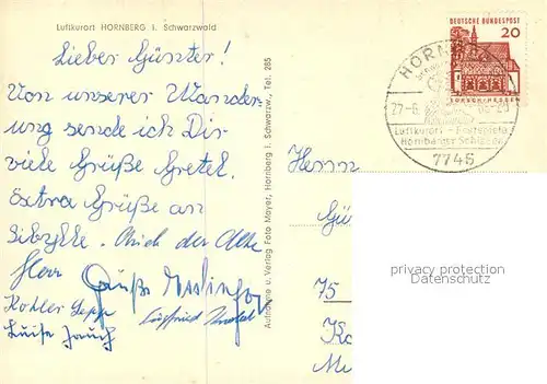 AK / Ansichtskarte Hornberg_Schwarzwald Panorama Hornberg Schwarzwald