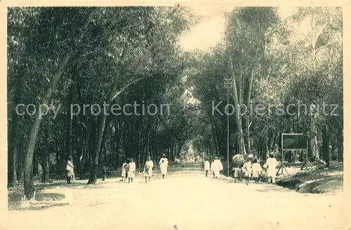 AK / Ansichtskarte Fianarantsoa Allees Lyautey  Fianarantsoa