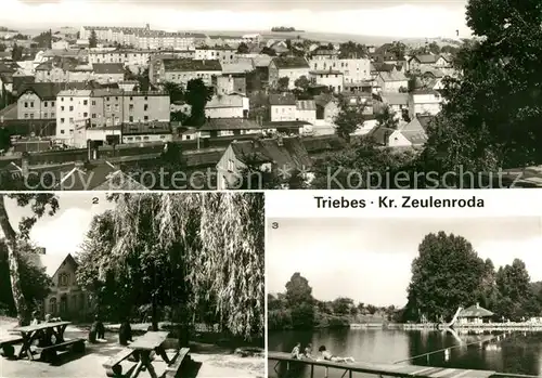 AK / Ansichtskarte Triebes Neubaugebiet Schulhort Freibad  Triebes