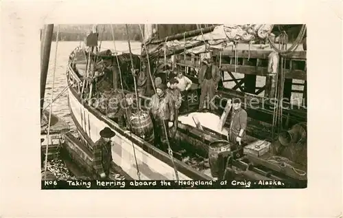 AK / Ansichtskarte Craig_Alaska Taking Herring aboard the Hedgeland Craig_Alaska