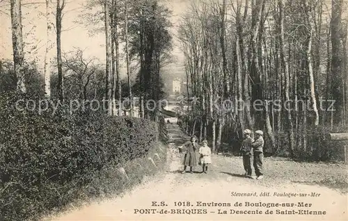 AK / Ansichtskarte Pont_de_Briques La Descente de Saint Etienne 