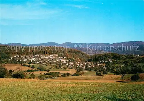 AK / Ansichtskarte Riedlingen_Donau Panorama Riedlingen Donau