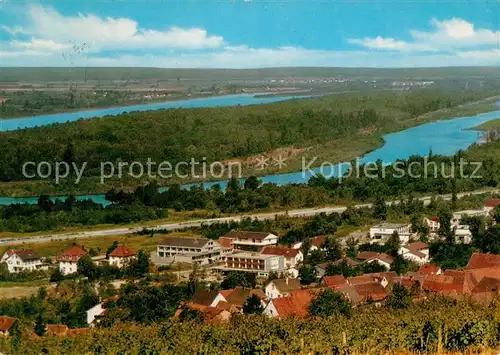 AK / Ansichtskarte Bad_Bellingen Panorama mit Rhein Bad_Bellingen
