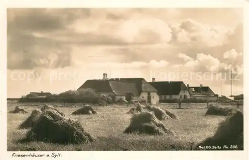 AK / Ansichtskarte Foto_Zeitz_F.G._Nr. 206 Friesenh?user Sylt  Foto_Zeitz_F.G._Nr.