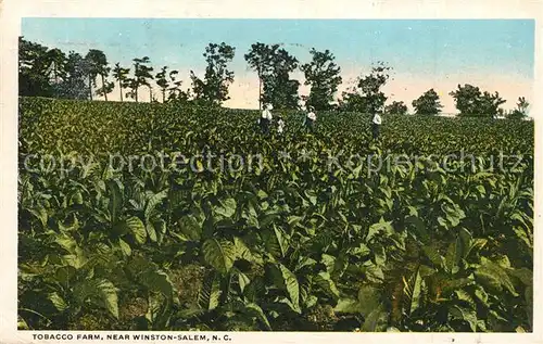 AK / Ansichtskarte Tabak Tobacco Farm Winston Salem  