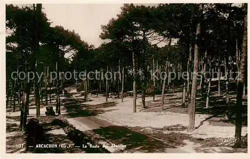 AK / Ansichtskarte Arcachon_Gironde La Route des Abatilles Arcachon Gironde