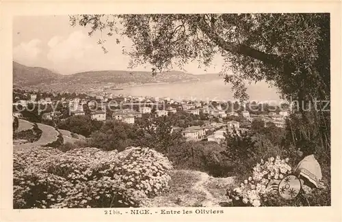 AK / Ansichtskarte Nice_Alpes_Maritimes Entree les Oliviers Nice_Alpes_Maritimes