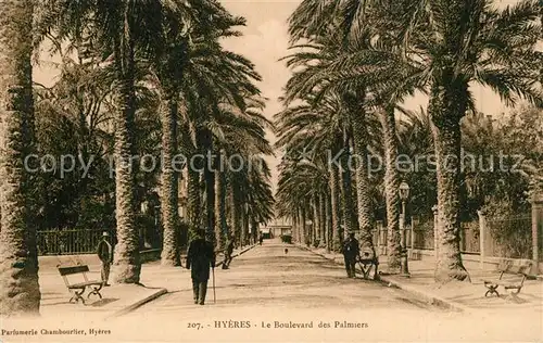 AK / Ansichtskarte Hyeres_les_Palmiers Le Boulevard des Palmiers Hyeres_les_Palmiers