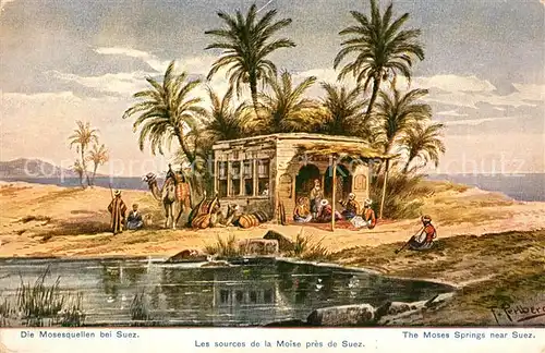 AK / Ansichtskarte Suez Die Mosesquellen Suez