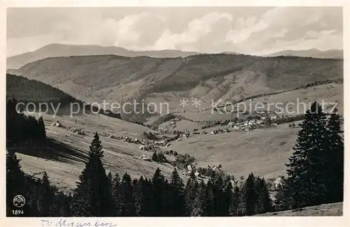 AK / Ansichtskarte Todtnauberg Panorama Todtnauberg