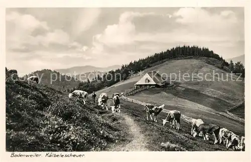 AK / Ansichtskarte Badenweiler Kaelbelescheuer Badenweiler