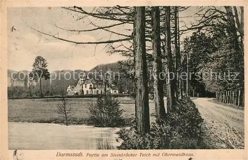 AK / Ansichtskarte Darmstadt Partie am Steinbruecker Teich mit Oberwaldhaus Darmstadt